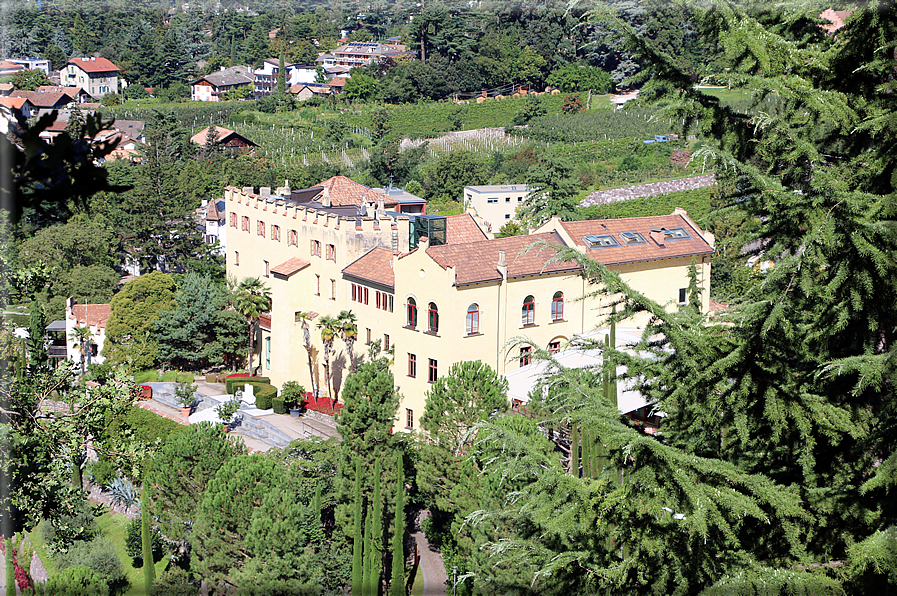 foto Giardini Trauttmansdorff - Boschi del Mondo